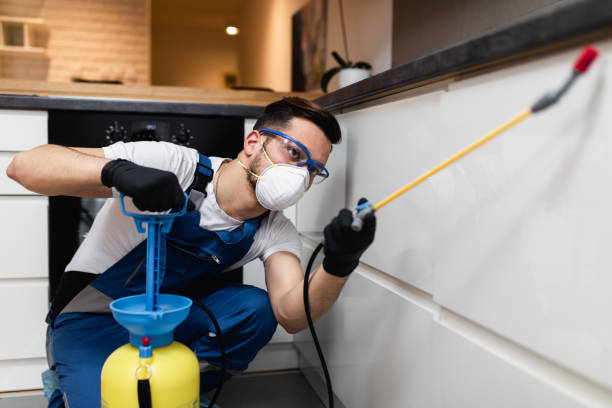 Best Bed Bug Extermination  in Leonville, LA