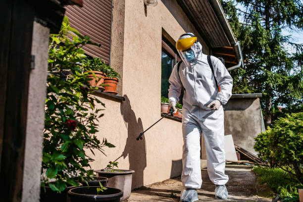 Best Affordable Exterminators  in Leonville, LA