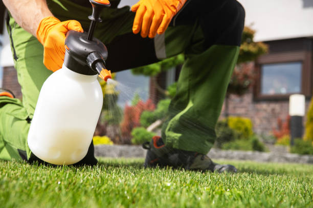 Best Wasp Removal Services  in Leonville, LA