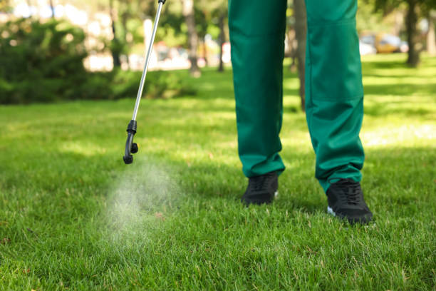 Wasp Removal Services in Leonville, LA