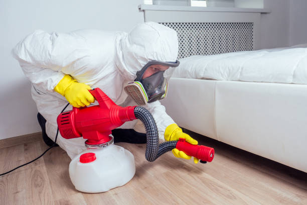 Best Affordable Pest Control Services  in Leonville, LA