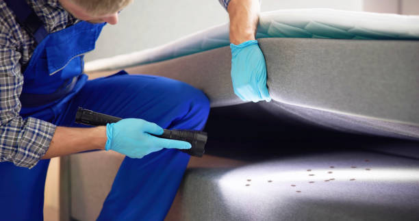 Best Termite Control Services  in Leonville, LA