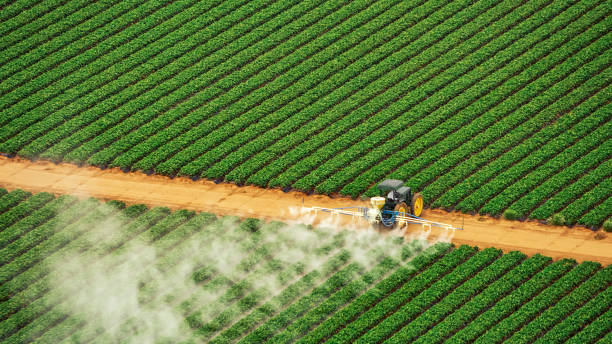 Best Pest Control Treatment  in Leonville, LA