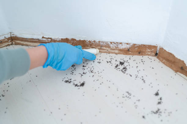 Best Pest Removal Services  in Leonville, LA