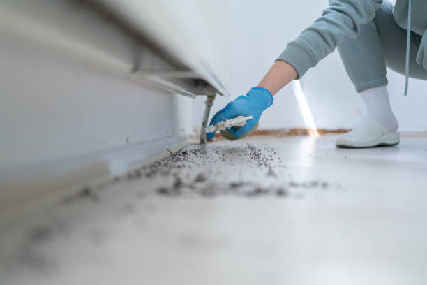 Best Affordable Pest Control Services  in Leonville, LA